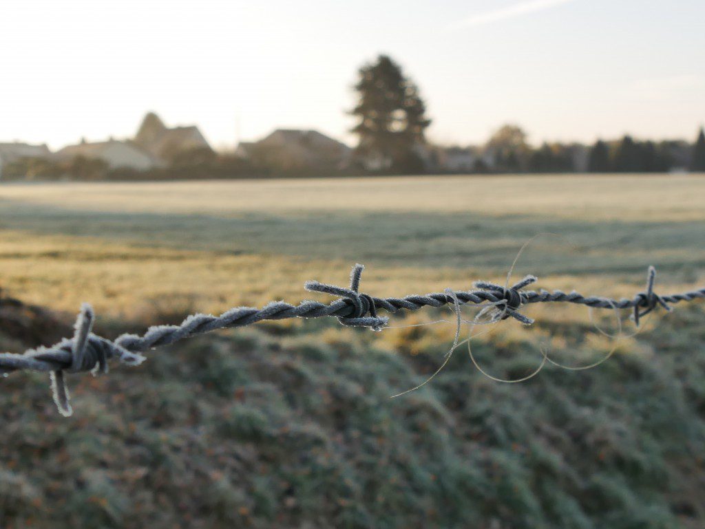 verlassenen Weiden