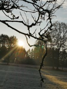frostige Landschaft