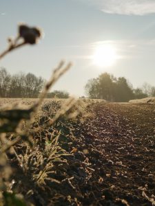 Winterladschaft an der Trabrennbahn